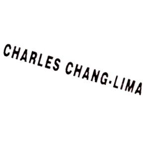 CHARLES CHANG LIMA | P | Mesh Floral Minimalist Spaghetti Strap Cami Tank Top